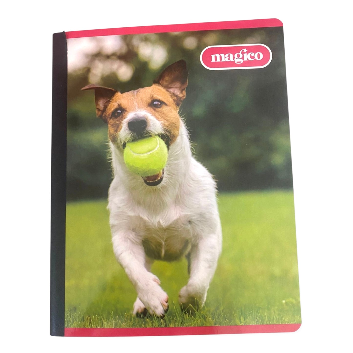Cuadernos de 200 páginas